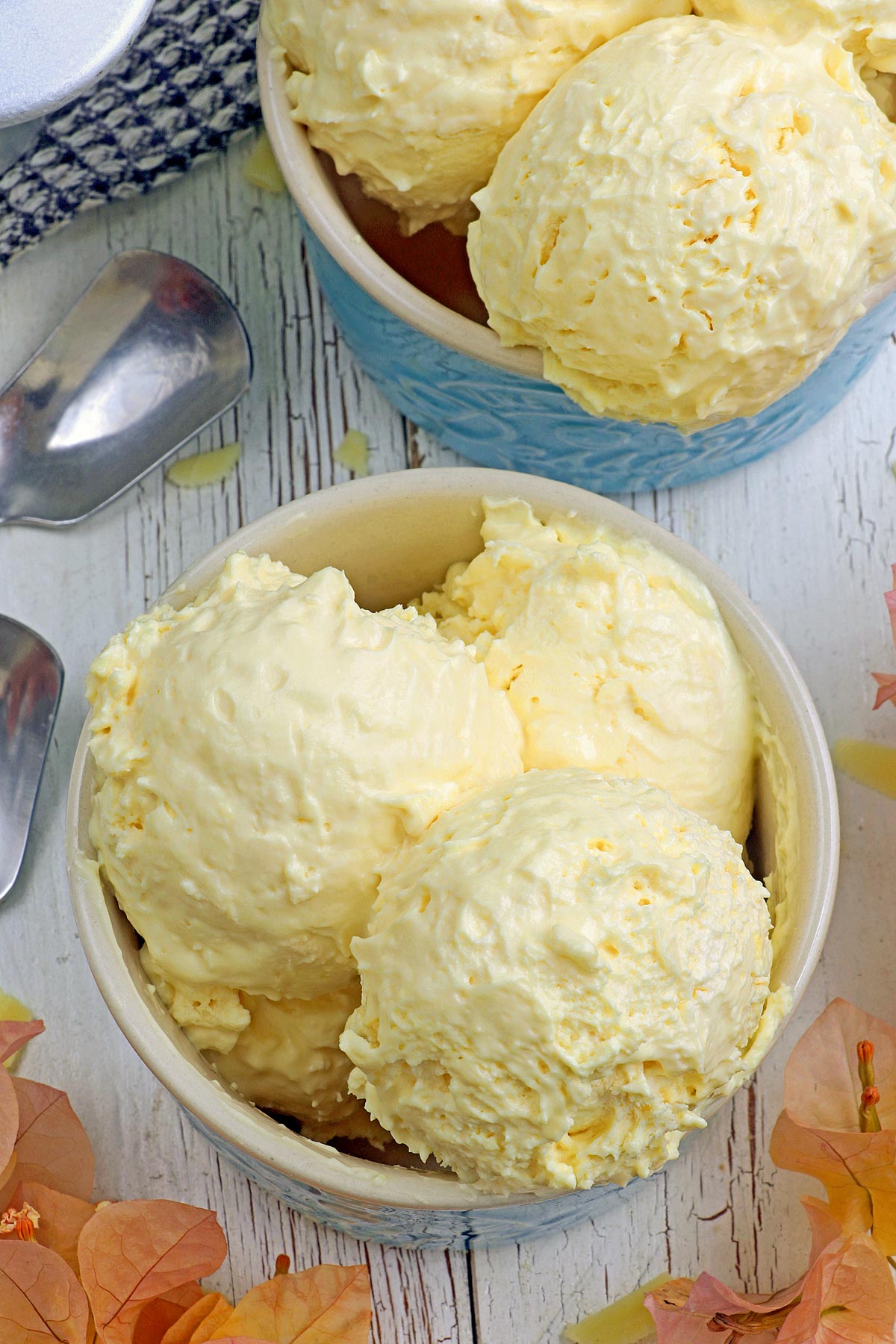 Scoops of sweet and salty homemade Cheese ice cream in dessert bowls.