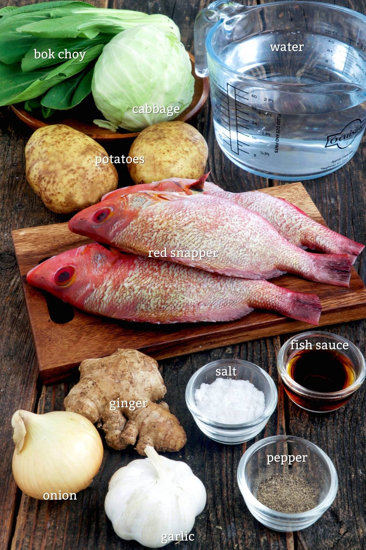 Ingredients in making Pesang Isda.