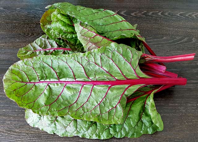 Freshly harvested Red Swiss Chard